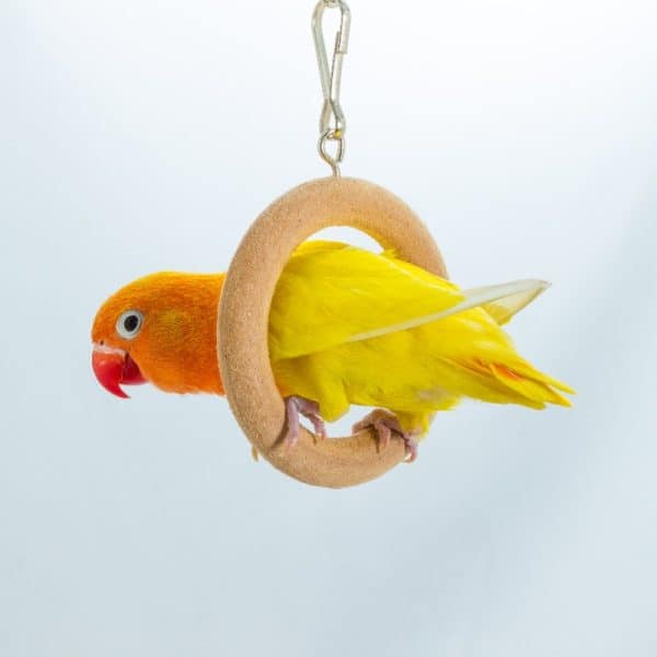 Lovebird in small wood ring swing Unraveling the Mysteries of Avian Neophobia: A Tale of Feathers and Fears