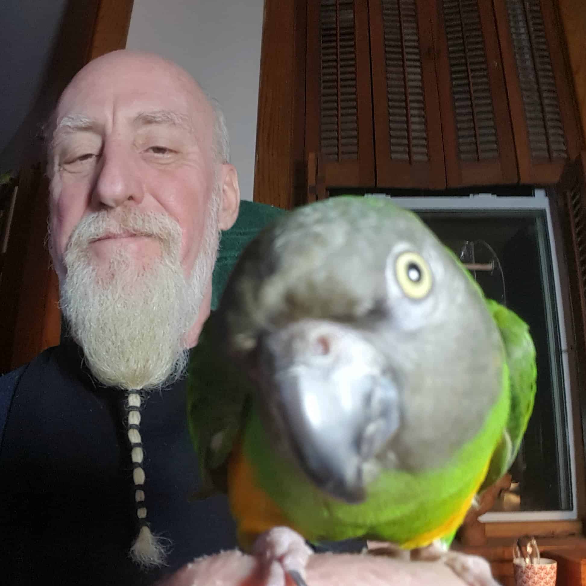 mitch rezman with peaches his senegal parrot