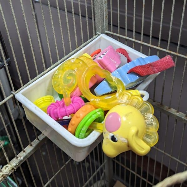 Plastic tub hanging in bird cage with small childres toys