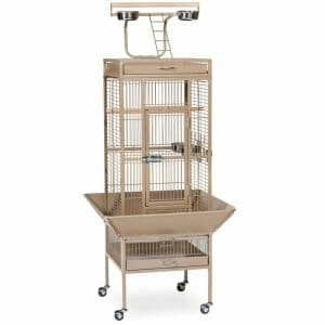 Play Top Bird Cage for Small Parrots by Prevue 3151 Coco