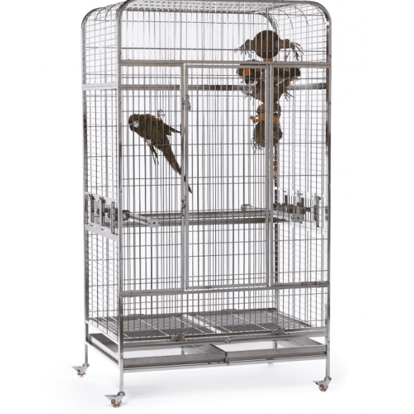 Is A Stainless Steel Bird Cage Worth The Investment?