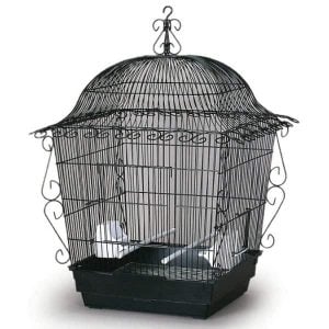 Elegant Top Bird Cage for Small Birds by Prevue 220 Black