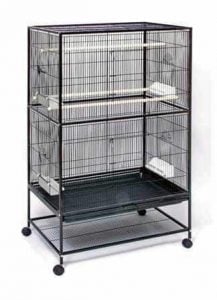 Some thoughts on Finch Bird Cages & Aviaries