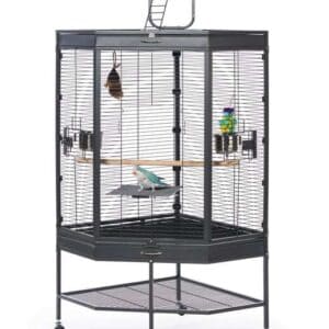 Corner Bird Cage for Small and Medium Birds Prevue 3165 Black