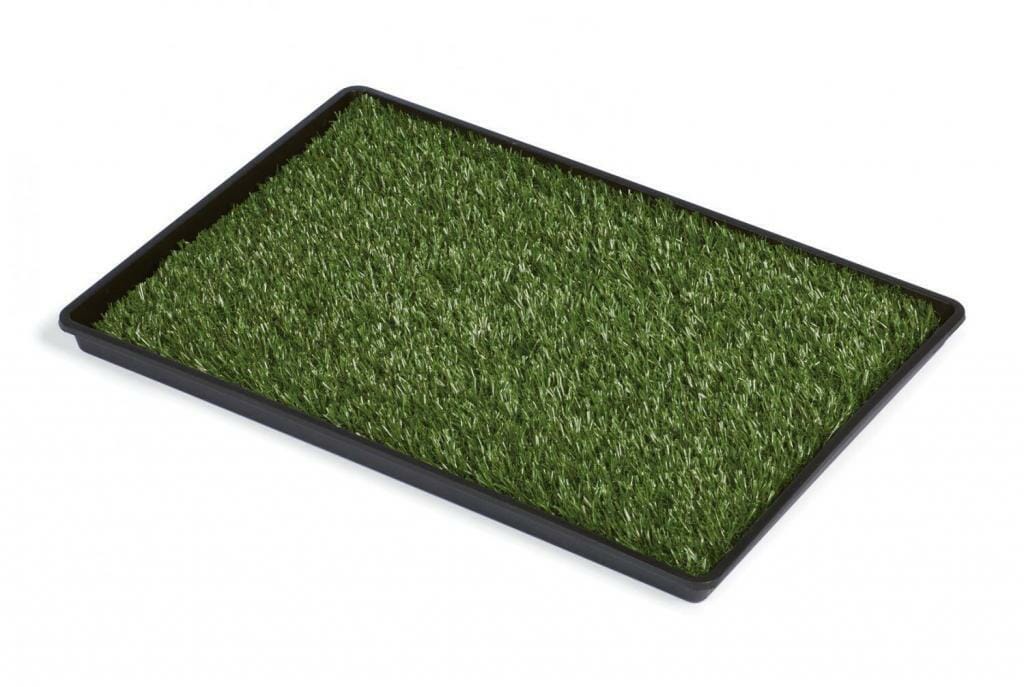 Tinkle Turf Grass Mat and Tray 500 Foraging Fun - Windy City Parrot