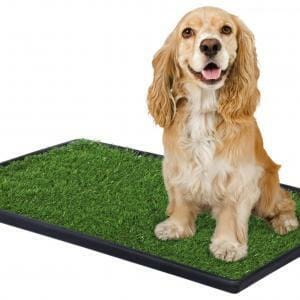 Tinkle Turf Grass Mat & Tray 501 In Home Dog Potty