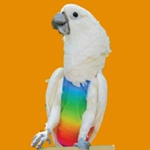Avian Fashions Flight Suit Extra Small