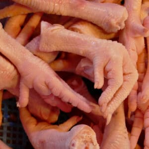 Can I Feed Dehydrated Quality Chicken Feet to My Budgie?