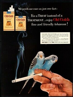 Hand holding lit cigarette and 2 budgies