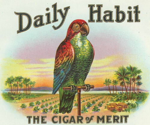 Dialy habit the cigar of merit parrot ad