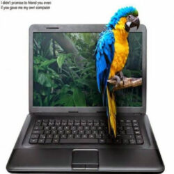 macaw on branch coming out of computer screen