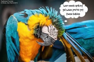 How Much Do You Understand About the Molt?