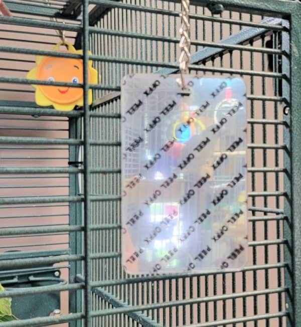 Small acrylic mirror for parrots and small birds