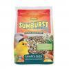 sunburst-canary-2