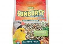 sunburst-canary-2