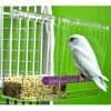 Tweeky Clean Mess Less Pet Bird Feeder Small