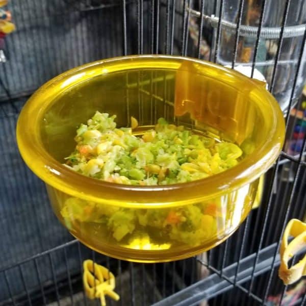 Chopped veggies and kale in plastic dish