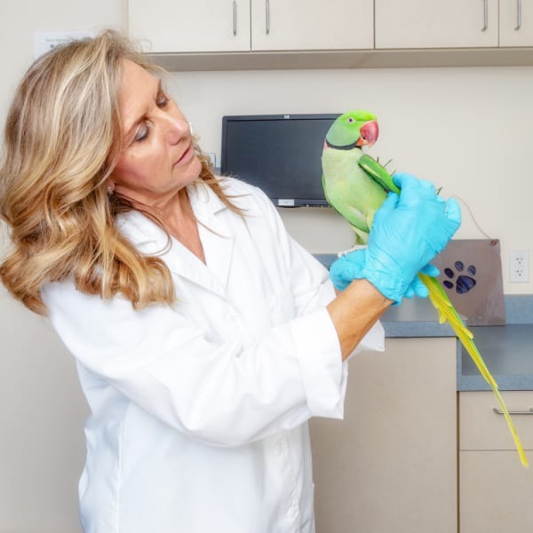 Bird Accidents and Medical Emergencies Happen – How Prepared Are You?