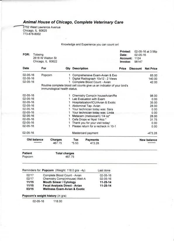 vet bill from animal house of Chicago for cockatiel treatment