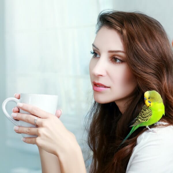 Will the Smell of Fresh Coffee Harm My Bird?
