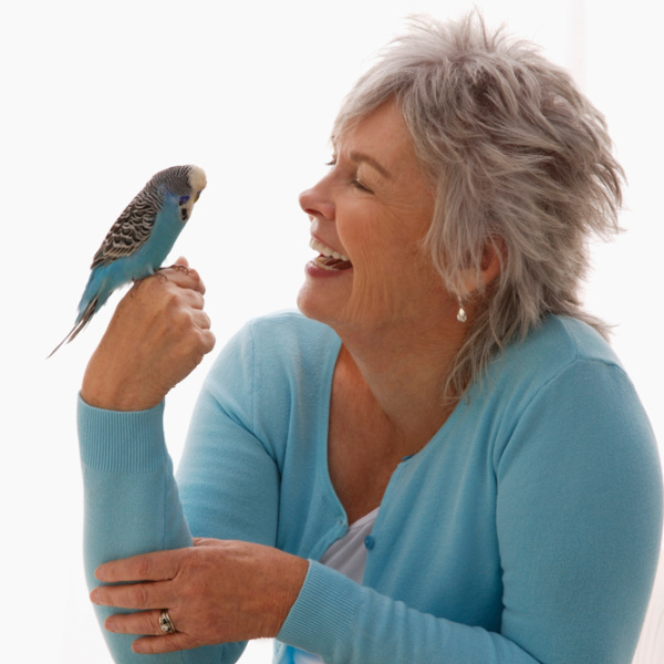 What Kind of Bird Should I Get at 60?