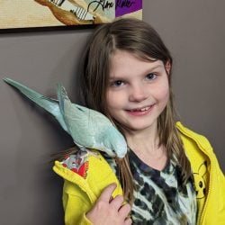 Young girl with blue Quaker parrot on right shoulder