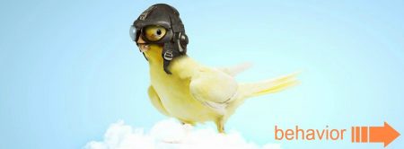 yellow cockatiel wearing old fashioned flight helmet standing on a cloud